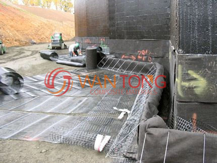 ˫������������դ 