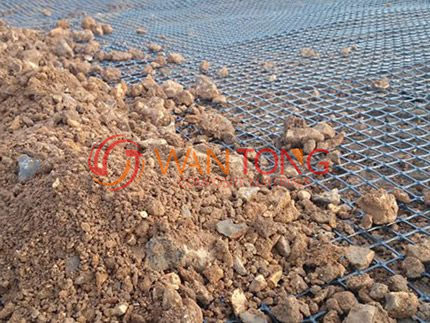 ˫������������դ 